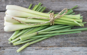 cay sa cong dung gi bai thuoc 1