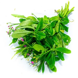 sam dat 3 1024x1024 1