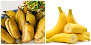 pic2.jpghttpsmedia.vov .vnsitesdefaultfilesstyleslargepublic2025 08chuoi 1.jpg