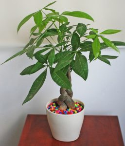 pic2.jpghttpscdn.eva .vnupload4 2021images2021 10 21image7 1634803687 132 width600height700.jpg