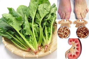 pic2.jpghttpsmedia cdn v2.laodong.vnStorageNewsPortal2021611919333Cai Bo Xoi.jpg