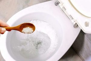 pic2.jpghttpsstatic images.vnncdn.netvps images publish0000010000032025730ly do nhieu nguoi do muoi vao bon cau bi tac nghen 513.jpgwidth0siCVoNgK 2jGH T4dM6HIZw