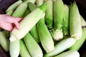 pic2.jpghttpsstatic images.vnncdn.netvps images publish000001000003202581luoc ngo dung voi boc sach vo meo nho giup mon an ngon ngot nhu ngoai hang 1035.jpgwidth0srdf0TXkAYycd ZahNPi3hw