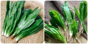 ipiccyimage 2025 10 23t100756129 10074293 1