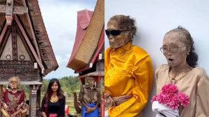 iss8224gtana toraja625x30013october25 14570652