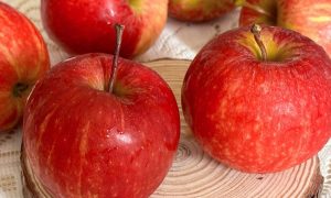 tao 1761033854 1761033870 7638 1761034053