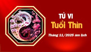 Tử vi 12 con giáp tháng 11/2025 tuổi Thìn âm lịch