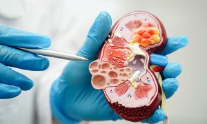 0 1761919920 1761919937 3509 1761920933