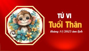 Tử vi 12 con giáp tháng 11/2025 tuổi Thân âm lịch